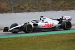 haas.jpg