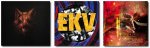 Swans - EKV - Saturnia.jpg