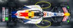 Racing bull.jpg