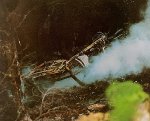 IMG_6008.JPEG