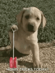 1000016648.gif